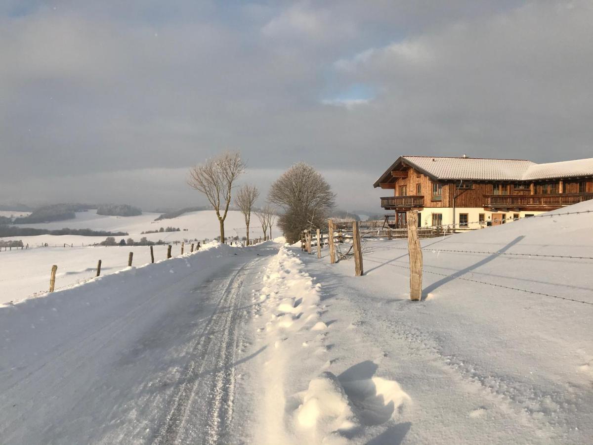 Chalet Bergliebe Brilon Exterior foto